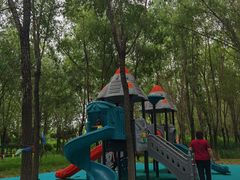 -草根堂农场