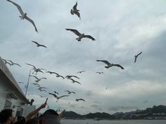 -海驴岛(荣成市)