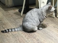-小时光咖啡馆(开森度假森林店)