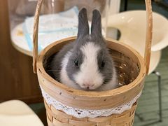 -大象厨房(重庆道店)