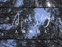 -大觉寺-停车场