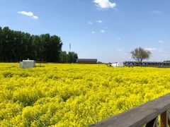 -天津武清北运河郊野公园房车露营地