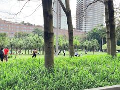 -东风公园