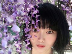 -嘉定紫藤园