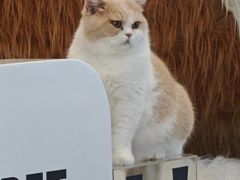 -天虹购物中心(深圳龙华店)