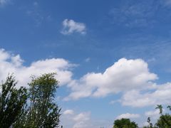 -济南国际园博园