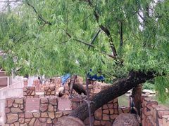 -金庭庄园酒店-停车场