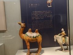 -镇江博物馆