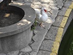 -团结湖公园