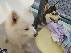-怪兽屋·羊驼·猫咖·狗咖(俊华广场店)