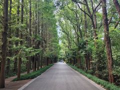 -同里国家湿地公园