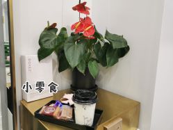 -镁连社·美联社