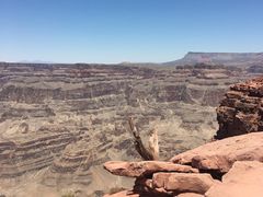 -科罗拉多大峡谷