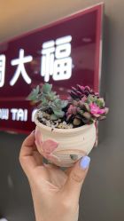 -周大福CHOW TAI FOOK(金汇广场珠宝店)