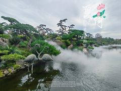 -罗红摄影艺术馆