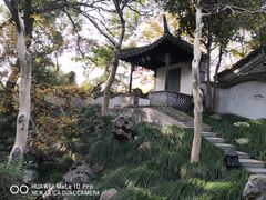 -乔园