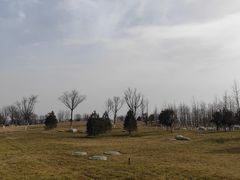 -汉长安城未央宫国家考古遗址公园