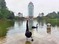 -厦门大学(思明校区)