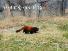 -武汉动物园