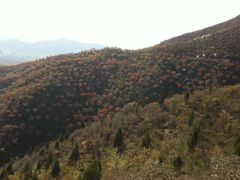 -蟠龙山长城景区