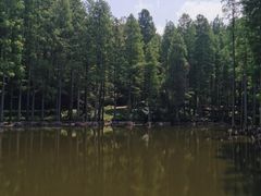 -波尔登森林公园