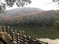 -白马涧龙池景区