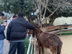 -HERRE·FARM 赫尔露营农场·团建聚会包场