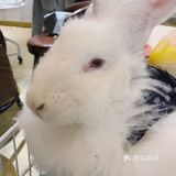 萌宠互动，提升孩子爱心呦