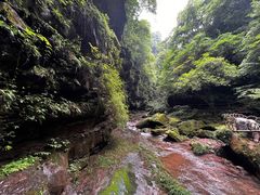 -碧峰峡风景区