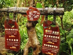 -呀诺达热带雨林