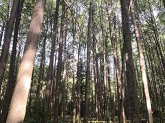 -波尔登森林公园