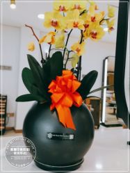 -新晨·SALON·形象造型