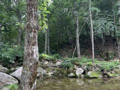 -洛阳白云山景区