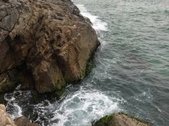 -盐洲岛