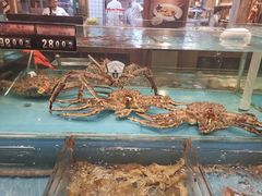 水产区-宴西湖(滨湖公园店)