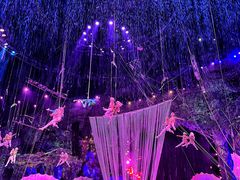 -广州长隆国际大马戏