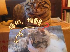 -正阳书局(西四南大街店)