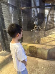 -酷嗒动物文化乐园(cutezoo西溪乐天城店)