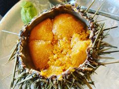 -红叶日料·放题·海胆·定食(辰熙广场店)