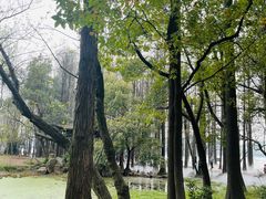 -东湖落雁景区
