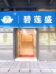 -碧莲盛·不剃发植发