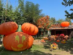 -HERRE·FARM 赫尔露营农场·团建聚会包场