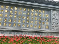 -西安大兴善寺