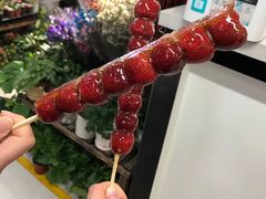 山楂串-和禄德冰糖葫芦
