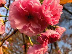 -唐城墙遗址公园