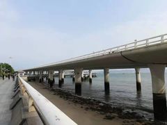 -演武大桥观景平台