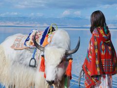 -青海湖国家重点风景名胜区