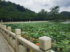 -顺峰山公园