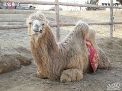 2-赛汗塔拉风情园