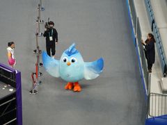 -杭州奥体中心-体育场